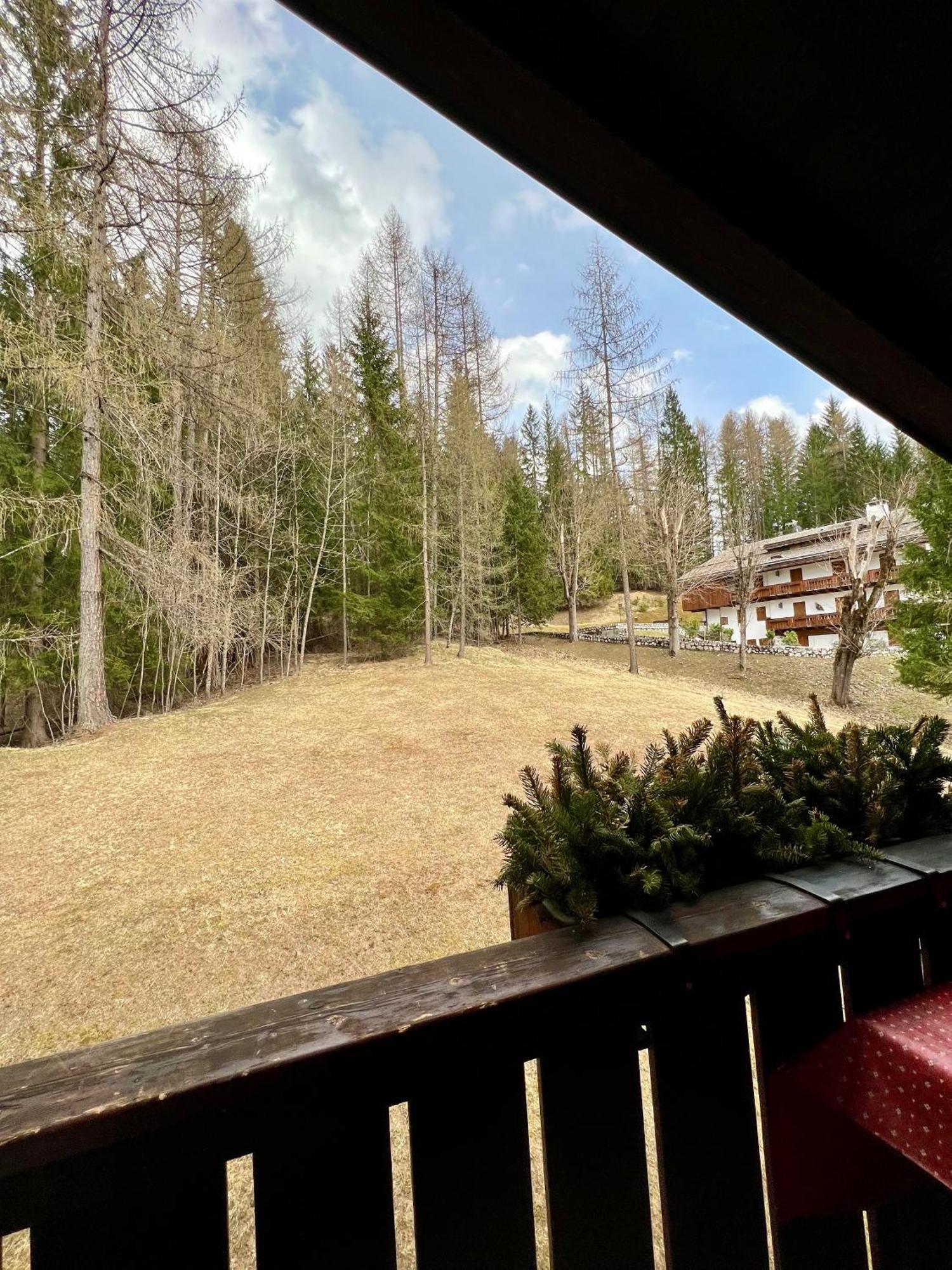 Апартаменты Mansarda A Cortina Кортина-д'Ампеццо Экстерьер фото